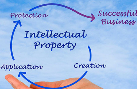 Intellectual Property Rights       